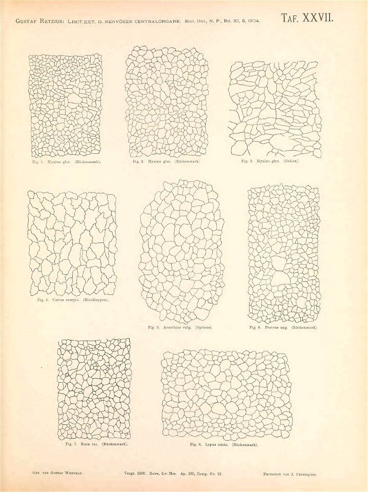 n196_w1150