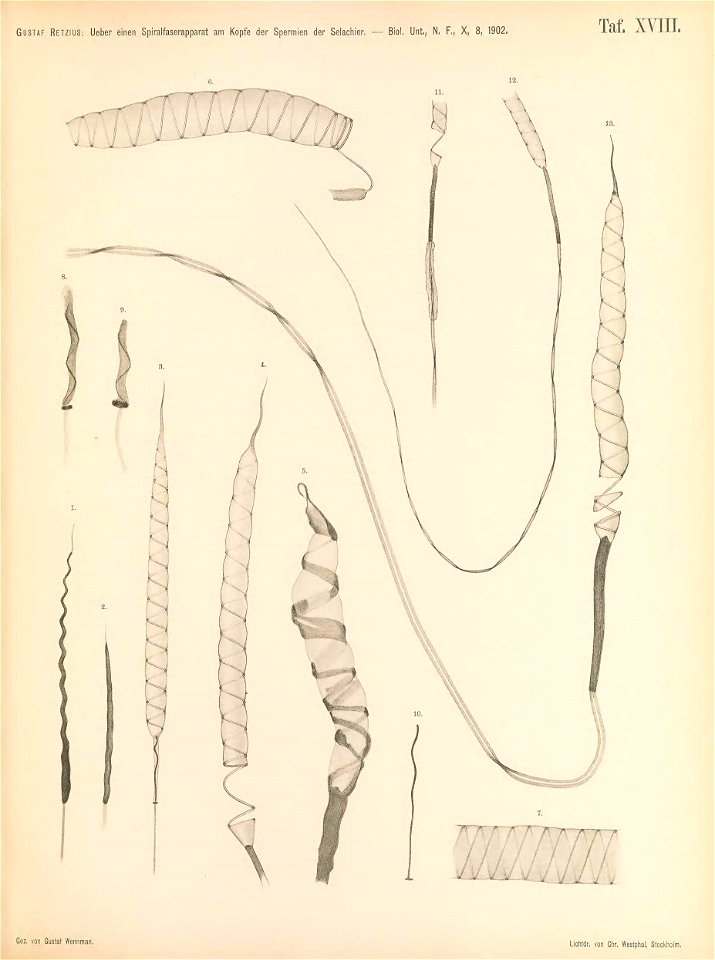 n154_w1150