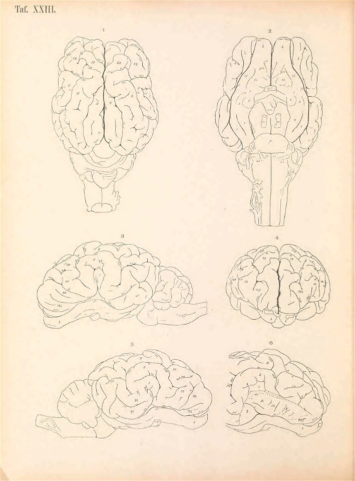 n217_w1150