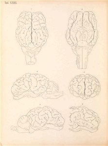 n217_w1150