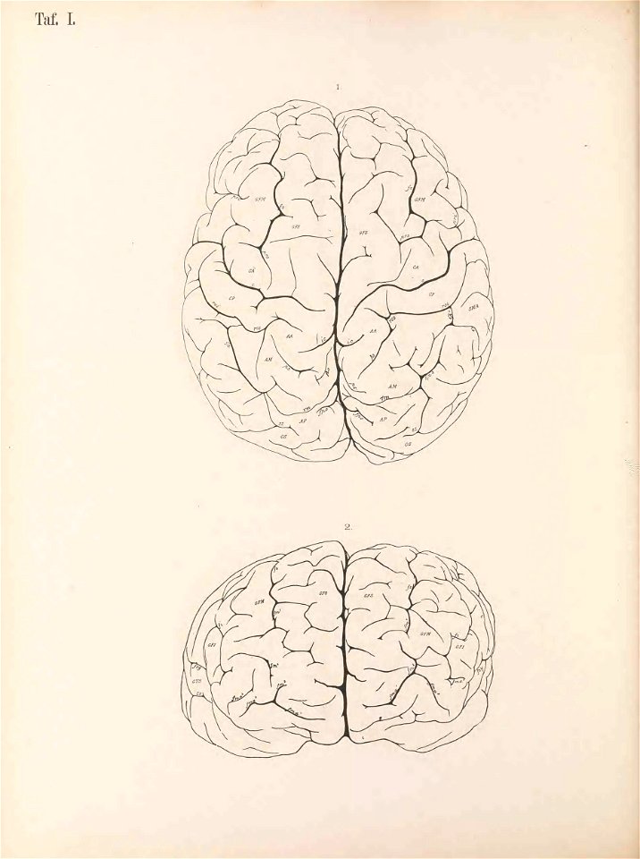 n131_w1150