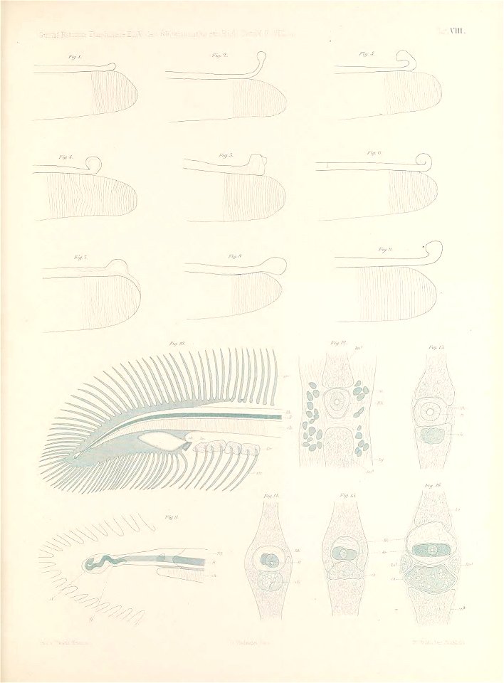 n114_w1150