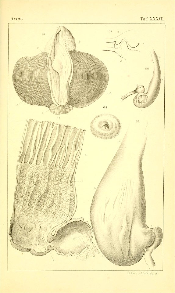 n1220_w1150