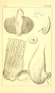 n1220_w1150