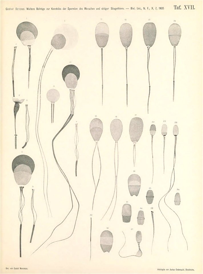 n150_w1150