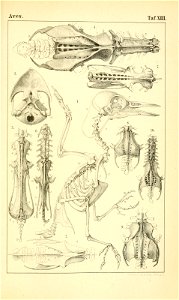 n1070_w1150