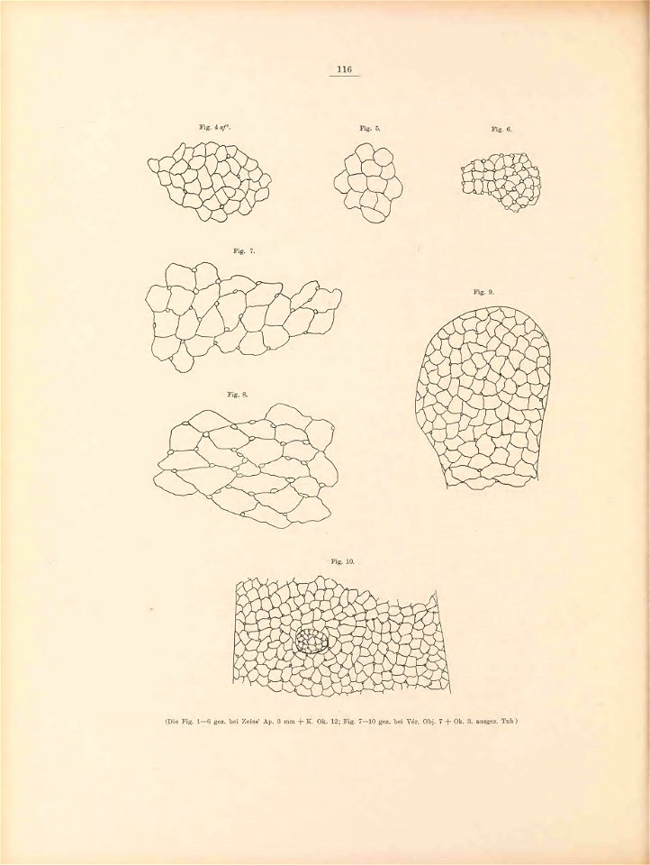 n129_w1150