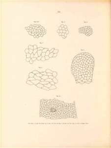 n129_w1150
