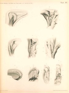 n194_w1150