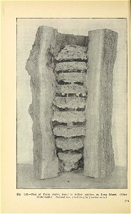 n565_w1150