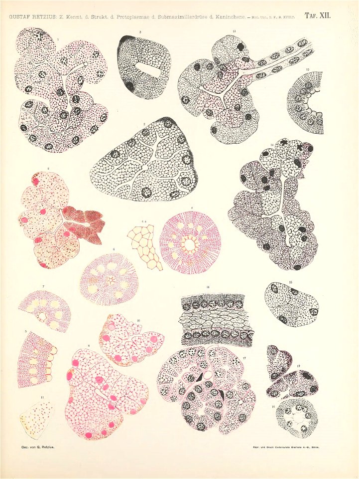n134_w1150