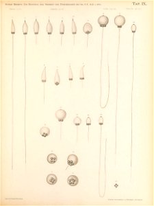 n134_w1150