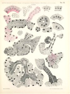 n132_w1150