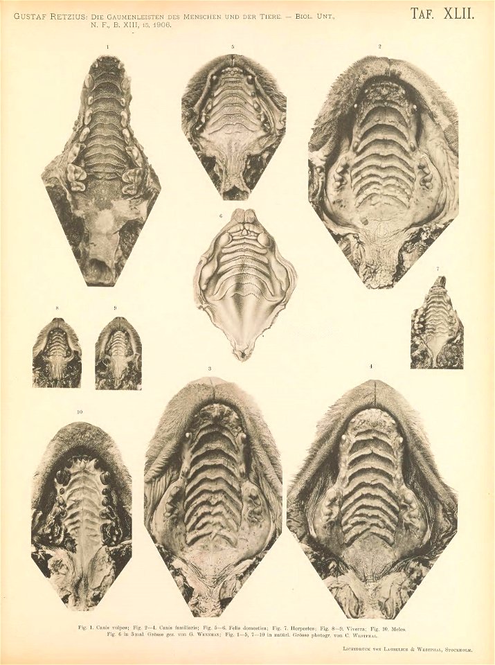 n272_w1150