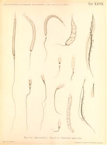 n238_w1150