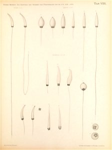 n132_w1150