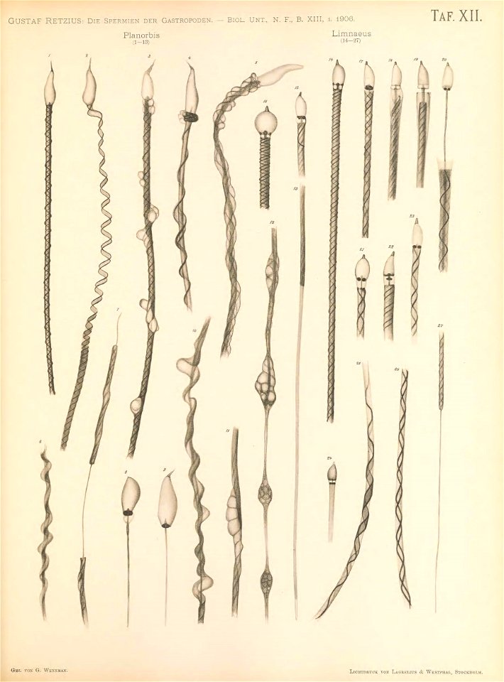 n206_w1150