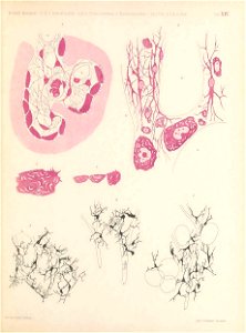 n138_w1150