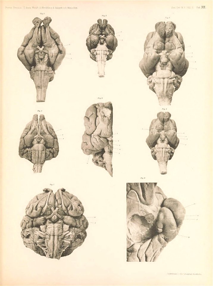 n182_w1150