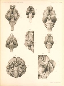 n182_w1150