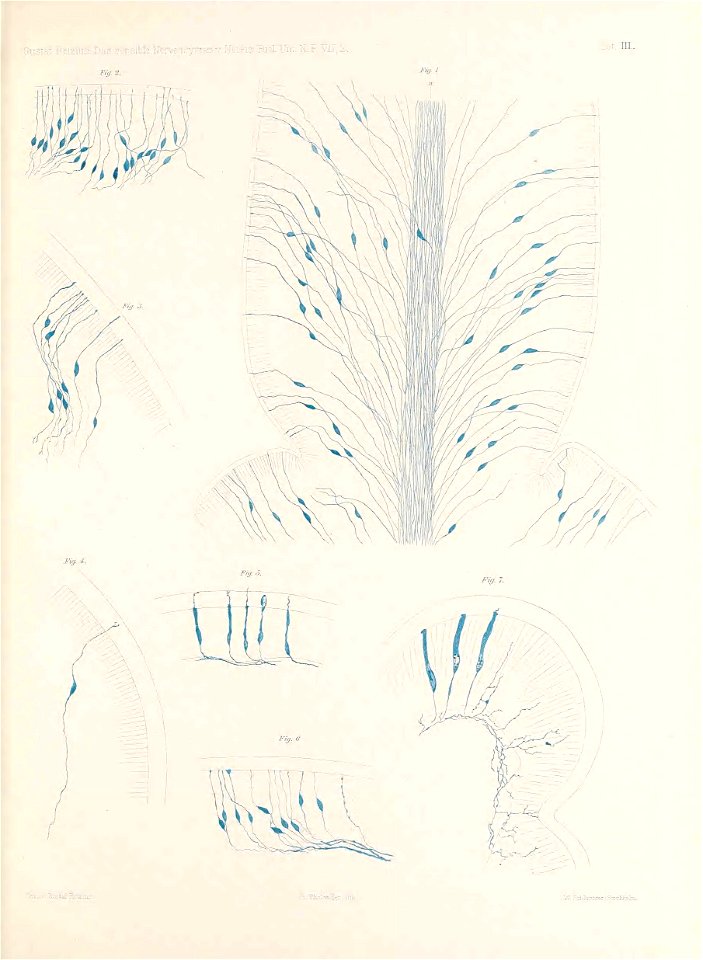 n94_w1150