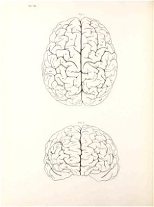 n141_w1150