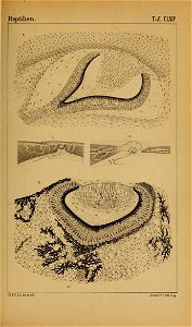 n922_w1150