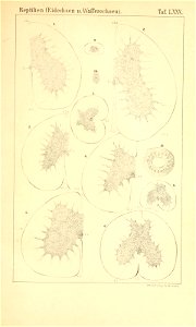 n1092_w1150