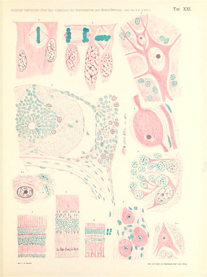 n196_w1150