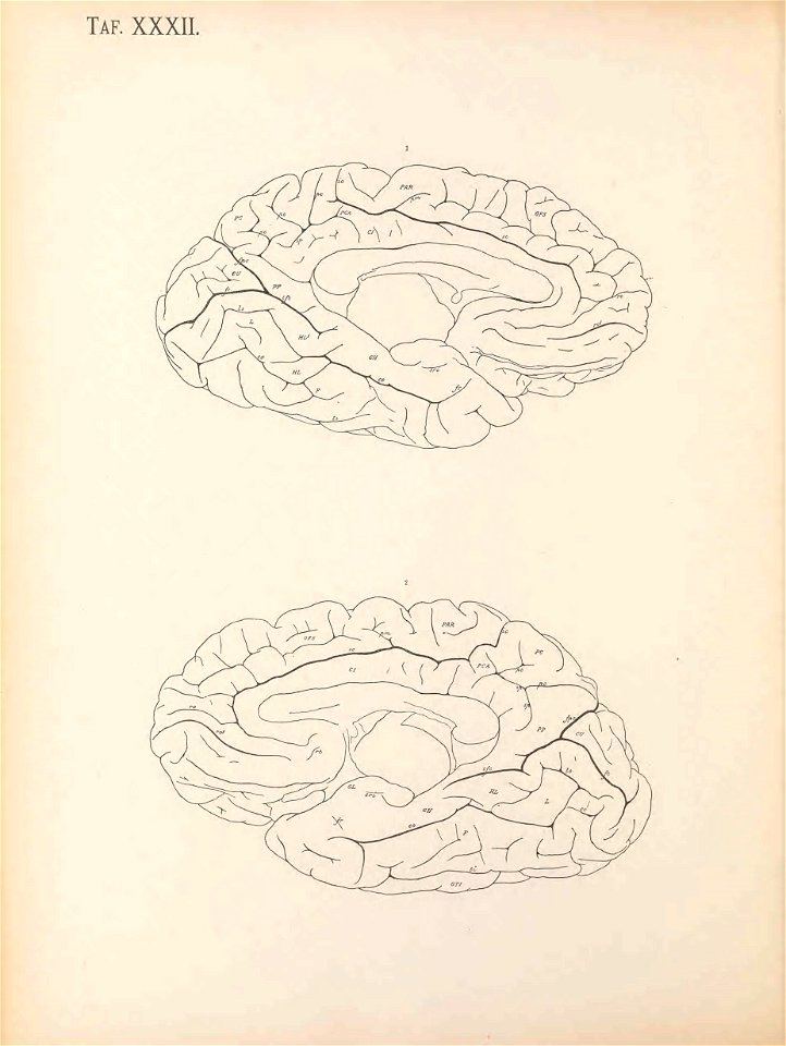 n213_w1150