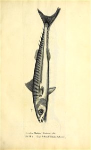 n374_w1150