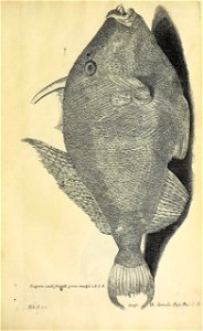 n310_w1150