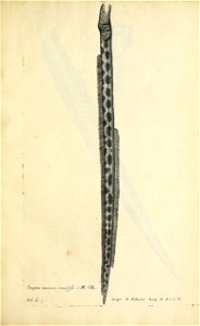 n210_w1150