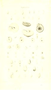n428_w1150
