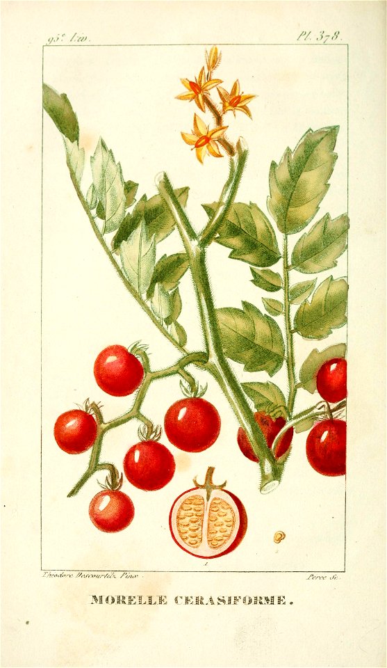n433_w1150