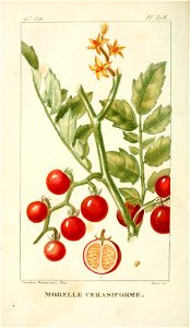 n433_w1150