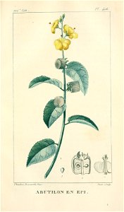 n158_w1150