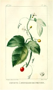 n69_w1150