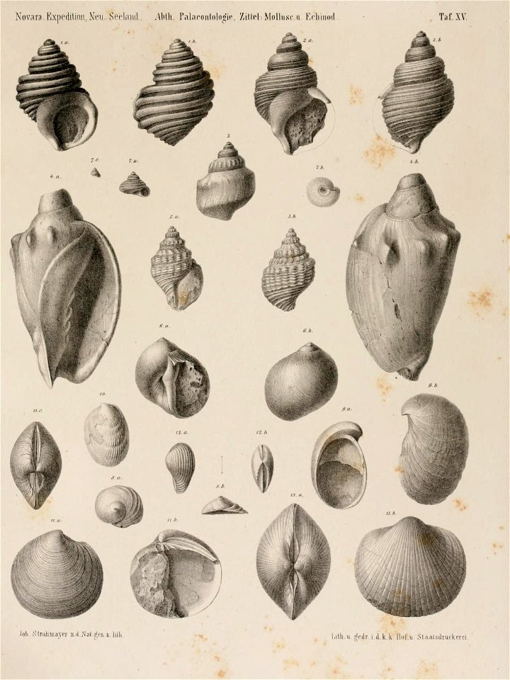 n386_w1150