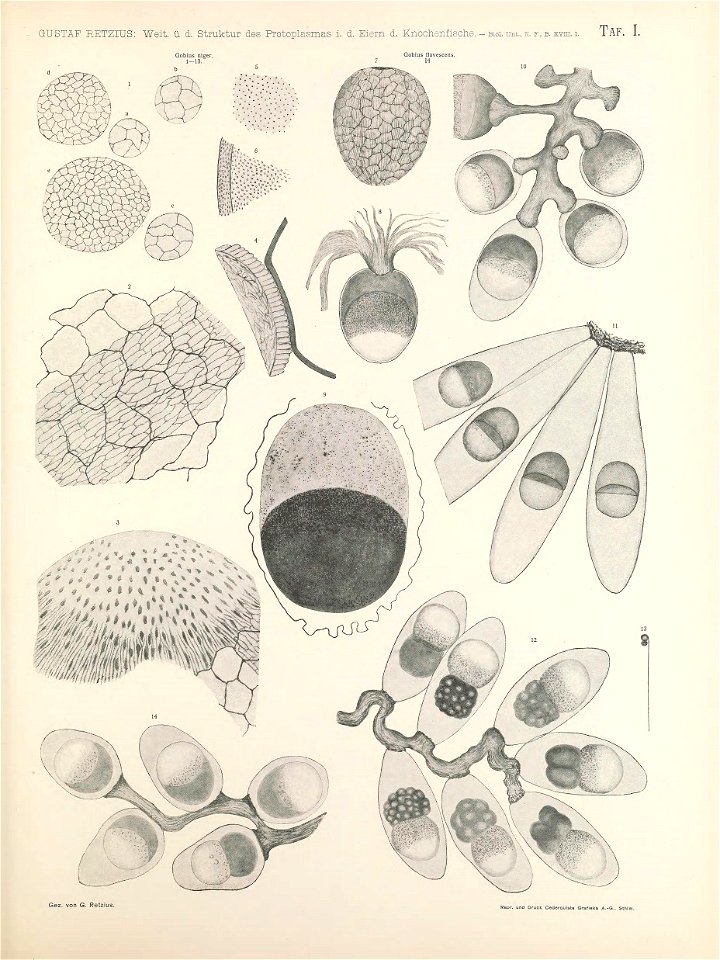 n112_w1150