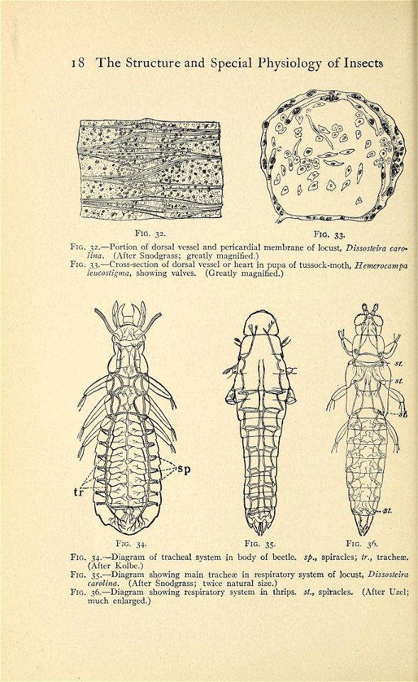 n35_w1150
