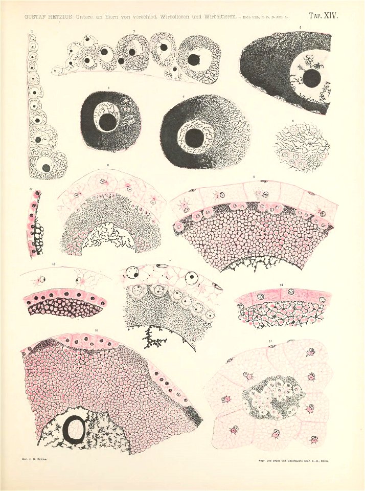 n168_w1150