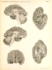 n166_w1150
