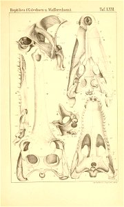 n1056_w1150