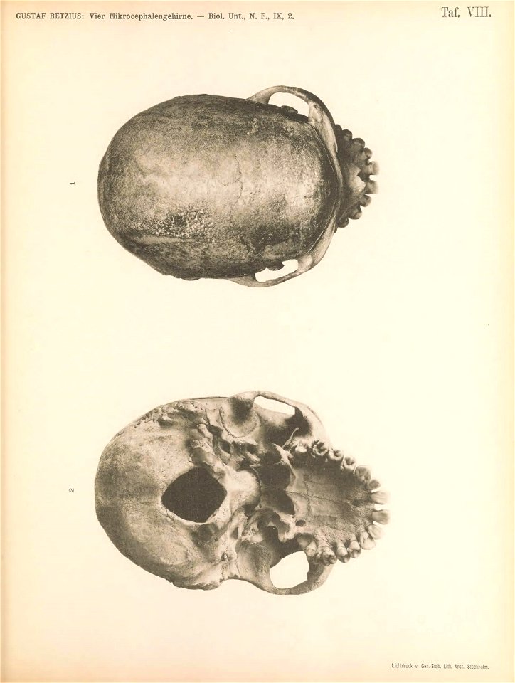 n158_w1150