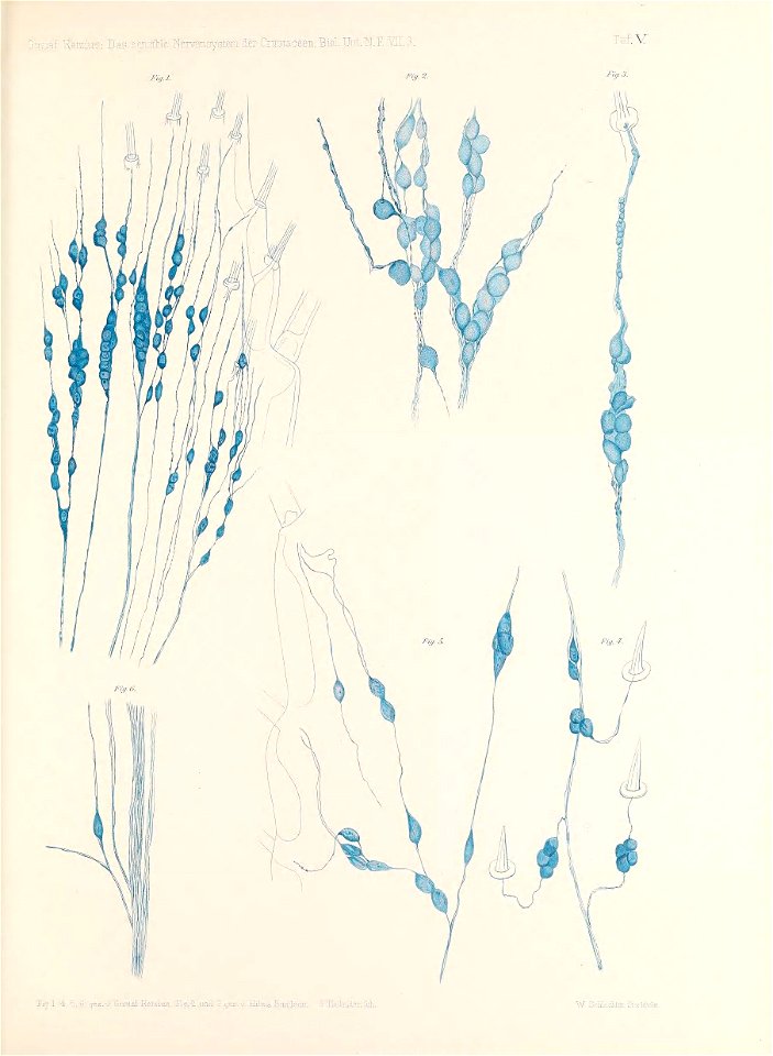n102_w1150