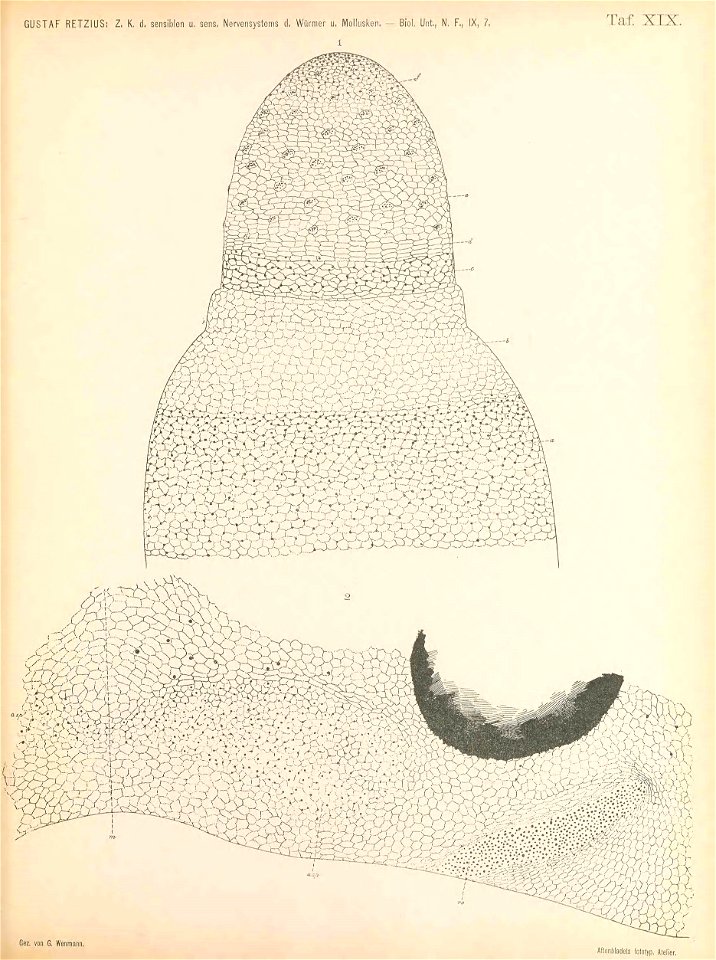n202_w1150