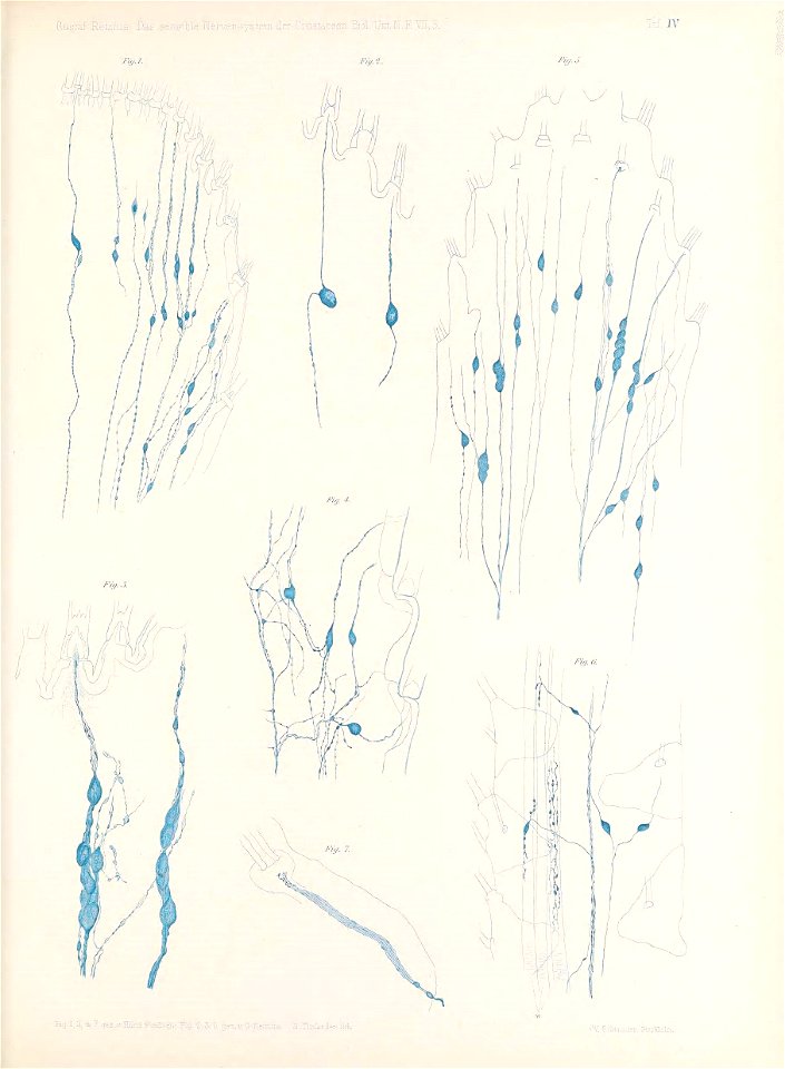 n98_w1150