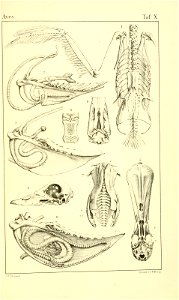 n1058_w1150