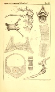 n976_w1150